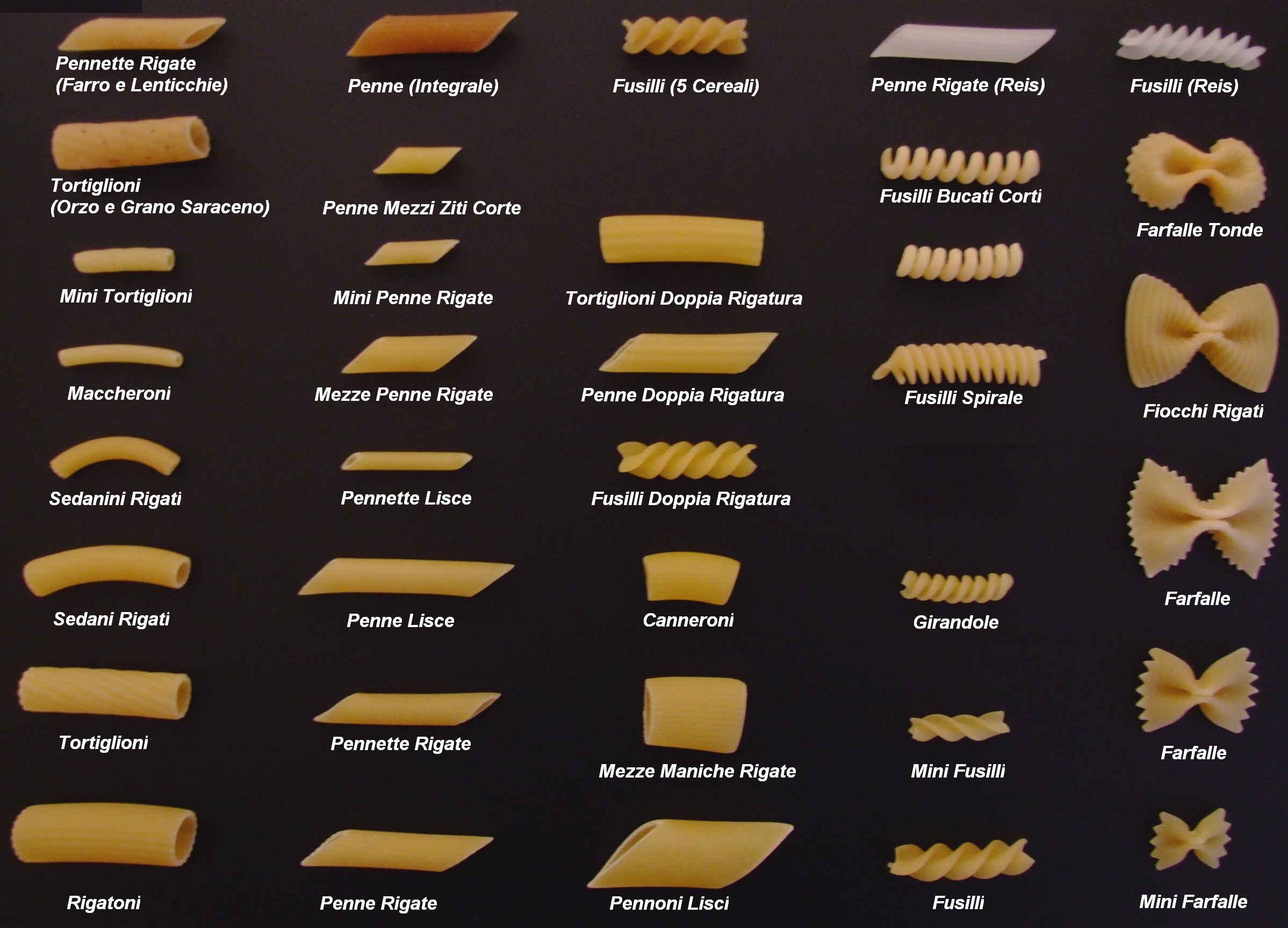 Short cut pasta's shapes